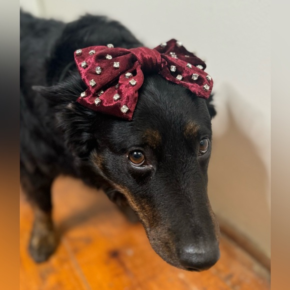 NWT Anthropologie Velvet Hair Bow Clips with Rhinestones Coquette Holiday - Picture 6 of 6